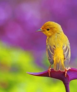 Yellow Bird On Purple Flower paint by numbers