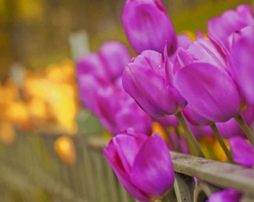 Purple Tulips Blooms paint by numbers