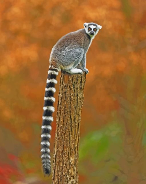 Raccoon Animal With Big Tail paint by numbers