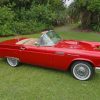 Red Ford Thunderbird Car paint by numbers