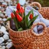 Red Tulips On Classic bouquet paint by numbers