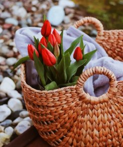 Red Tulips On Classic bouquet paint by numbers