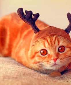 Reindeer Cat With Horns paint by numbers