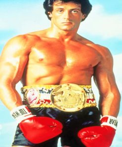 Rocky Balboa The Legend Paint By Numbers