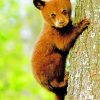 Small Bear On Tree paint by numbers