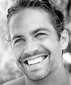 Actor Paul Walker paint by numbers