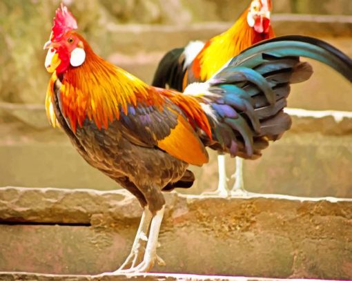 Strong Colorful Rooster Paint By Numbers