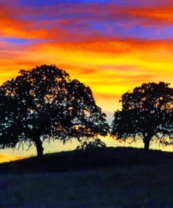 Sunset Trees Paint By Numbers