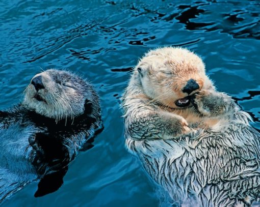 Swimming Otters Paint By Numbers