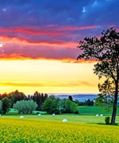 Switzerland Fields Paint By Numbers