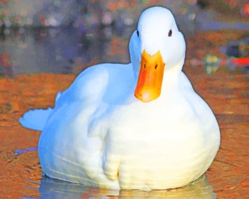 White Duck Bird paint by numbers