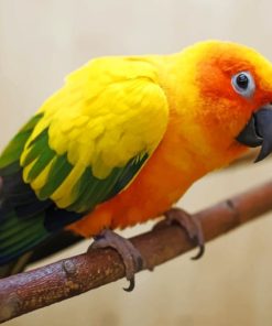 Yellow Parrot Paint By Numbers