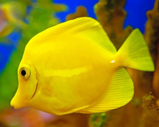 Yellow Tang Fish paint by numbers