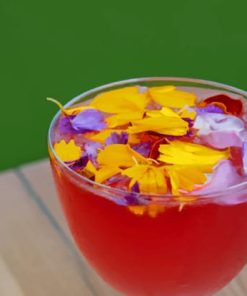 A Taste Of Summer With A Floral Cocktail paint by numbers