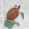 Aesthetic Sea Turtle paint by numbers