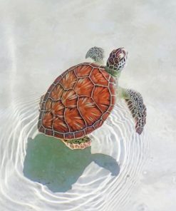 Aesthetic Sea Turtle paint by numbers