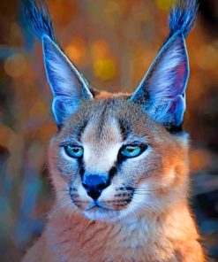 African Caracal Cat paint by numbers