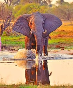 African Elephant In River paint by numbers