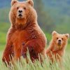 Alaska Brown Bear And Cub paint by numbers