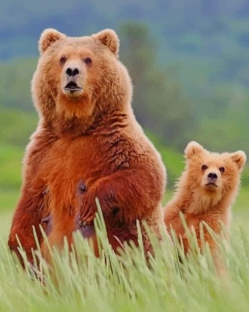 Alaska Brown Bear And Cub paint by numbers