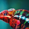 Animal Blur Chameleon Multi Colors paint by numbers