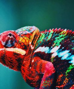 Animal Blur Chameleon Multi Colors paint by numbers