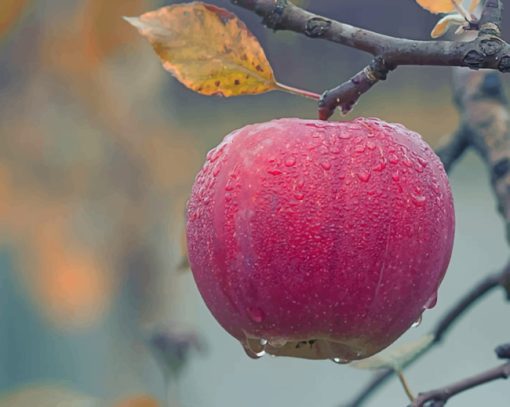 Apple Fruits Hanging On Tree paint by numbers