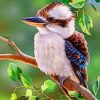 Australian Bird kookaburra paint by numbers