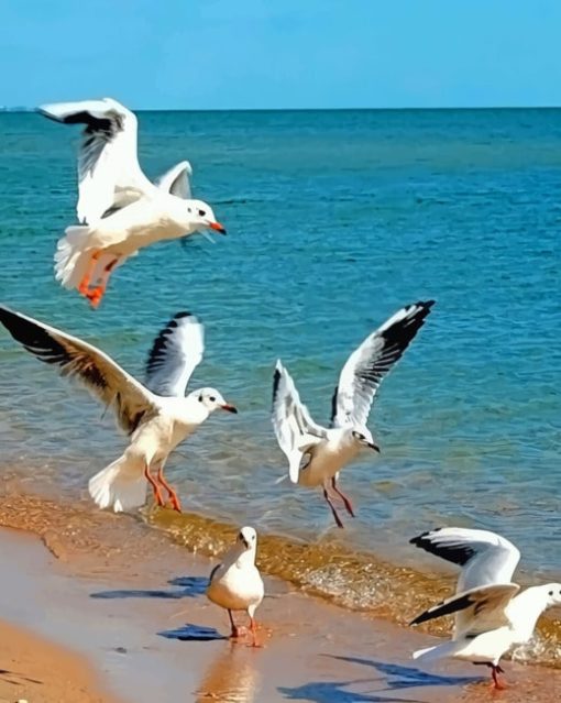 Beautiful Birds In Sea paint by numbers