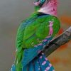 Beautiful Bird paint by numbers