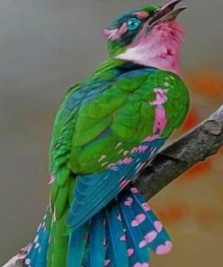 Beautiful Bird paint by numbers