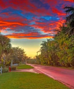 Sunset And Trees paint by numbers