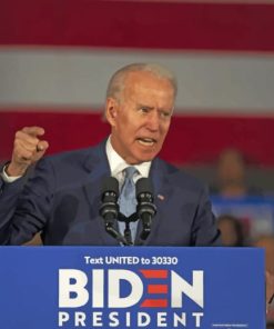 Joe Biden Giving A Speech paint by numbers