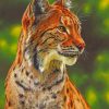 Big Cat In Forest paint by numbers