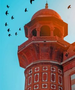 Birds Flying Above Safdarjung Tomb paint by numbers