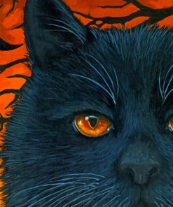 Black Cat Halloween Art paint by numbers