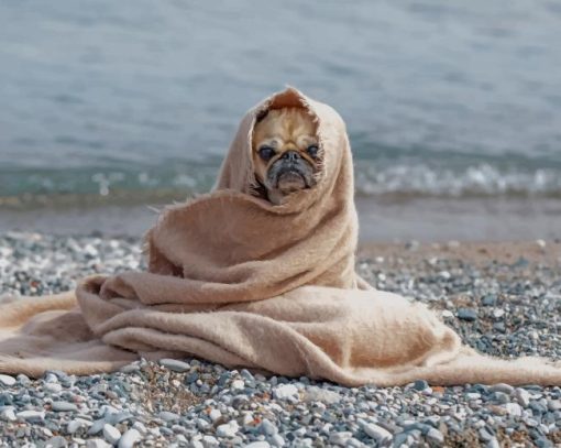 Blanket Pug On Rocky Shore paint by numbers