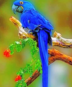 Blue Macaw paint by numbers