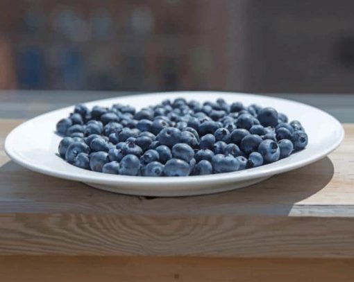 Blueberry Plate On Patio paint by numbers