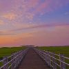 Boardwalk Through Marsh Under Bright Purple Sky paint by numbers