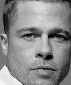 Brad Pitt Black And White paint by numbers