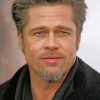 Brad Pitt Portrait paint by numbers