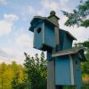 Bright Blue Bird Houses paint by numbers