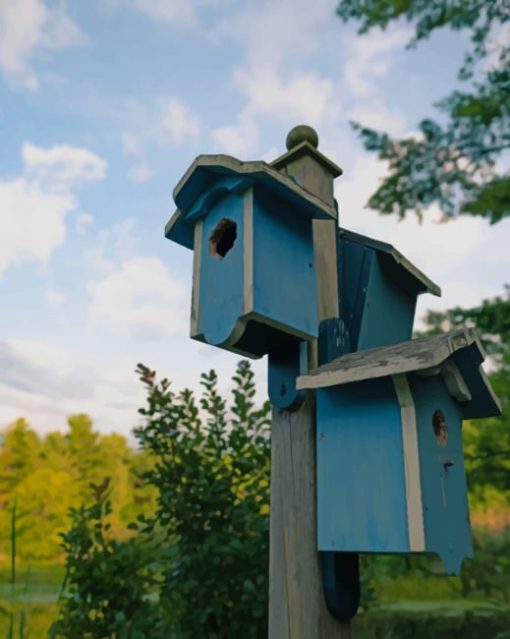 Bright Blue Bird Houses paint by numbers