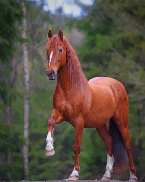 Brown Horse paint by numbers