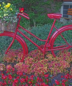 Red Bicycle And Flowers paint by numbers