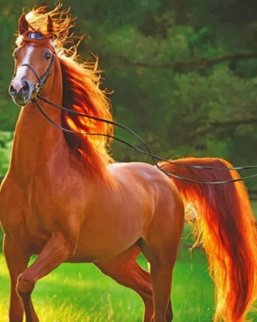 Chestnut Brown Horse paint by numbers