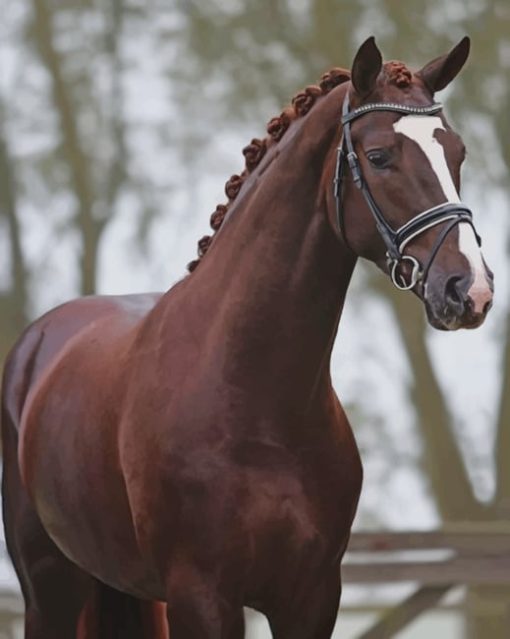 Chestnut Warmblood Horse paint by numbers