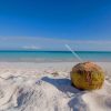 Coconut Drink On Beach paint by numbers