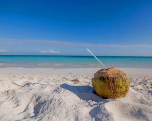 Coconut Drink On Beach paint by numbers